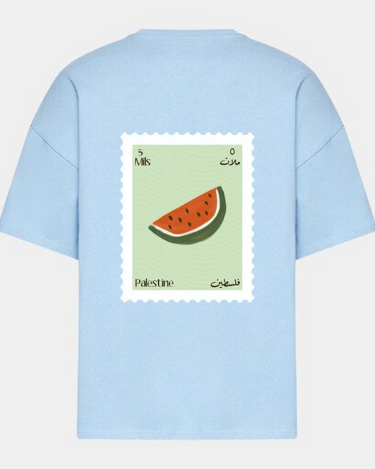 Sky Blue Palestine Map Tee — Watermelon Backprint